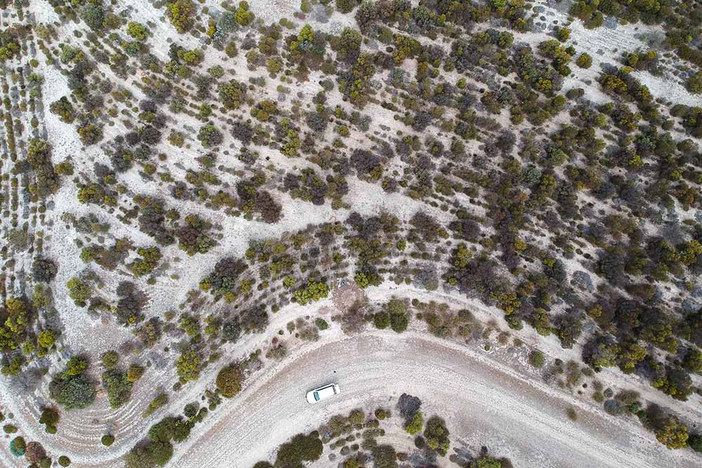 Aerial photo of revegetation at Monjebup with a Malleefowl mound.