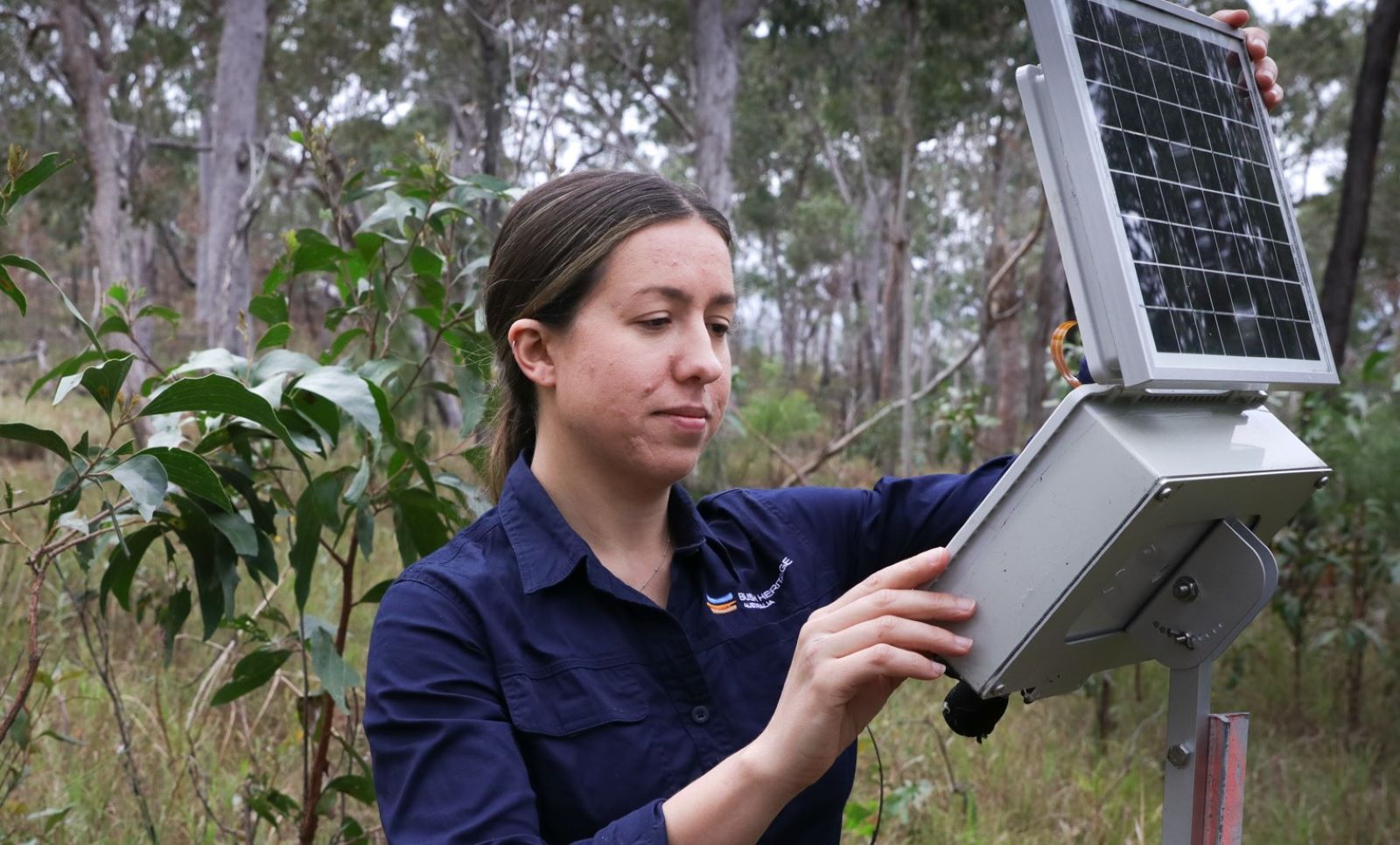 Dr. Daniella Teixeira checking an acoustic monitoring device. Photo: Eliza Herbert.