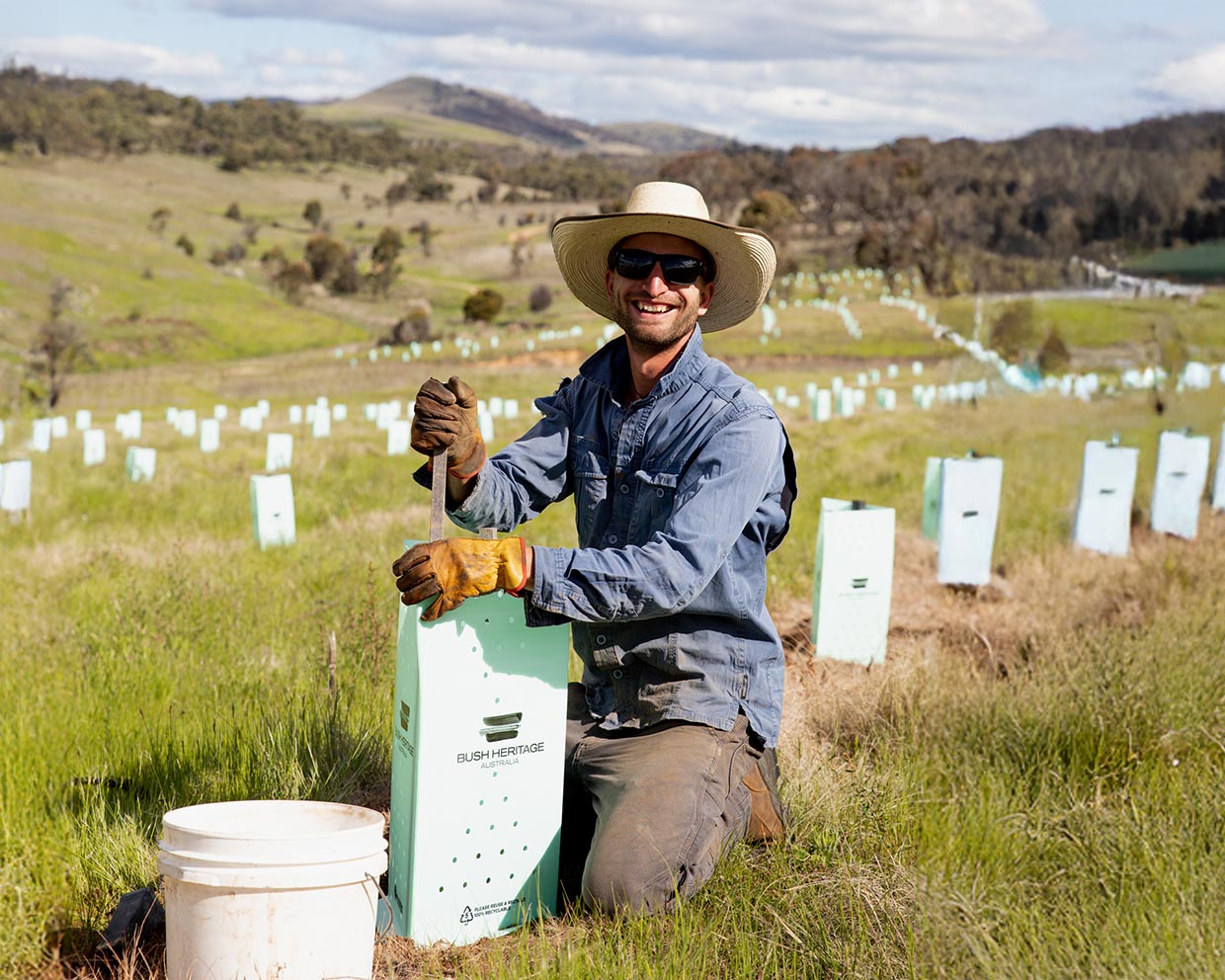 Volunteer planting trees at Scottsdale Reserve.