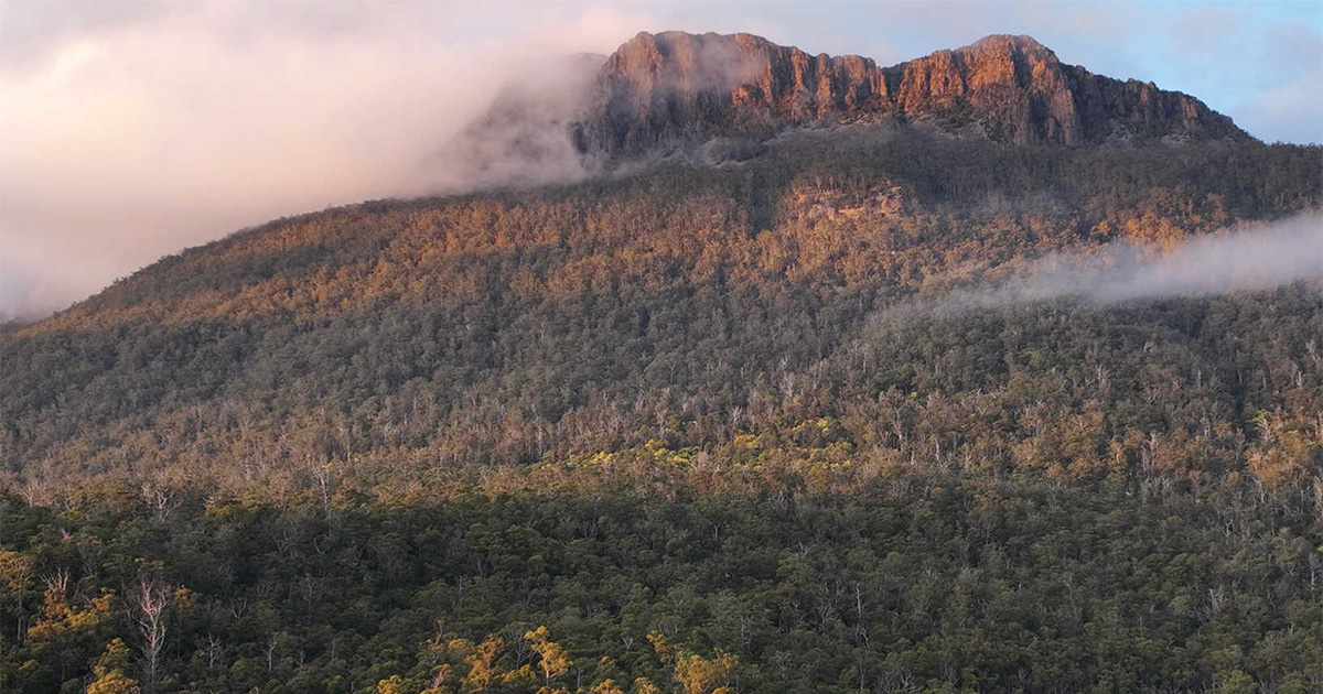 Donate to Support Bush Heritage Australia